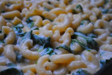 mac and cheese 024