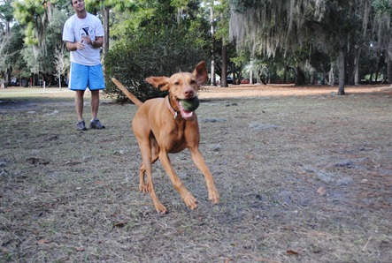 smoothie dog park 040