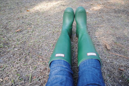 smoothie dog park 048