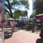 art of racing in the rain 001