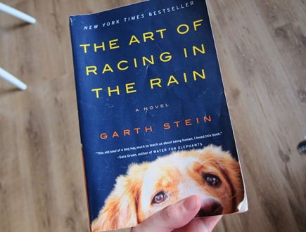 art of racing in the rain 007