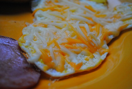 fennel 003