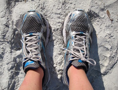 sanibel 006