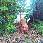 2011-03-14_08-06-07_865