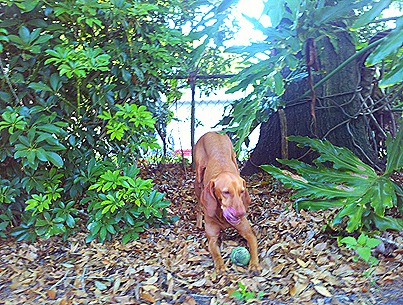 2011-03-14_08-06-07_865