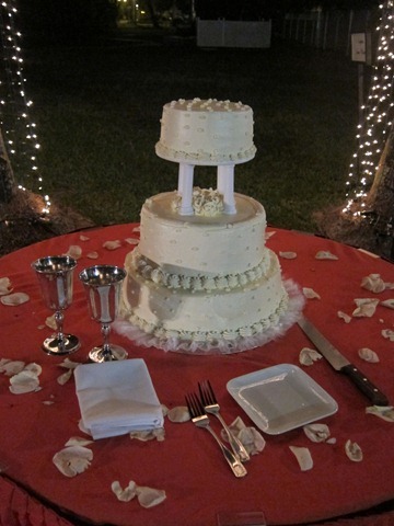 dru and carrie's wedding 018