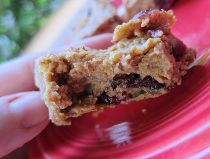 peanut butter bars 034