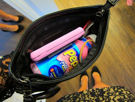 pepto purse 004