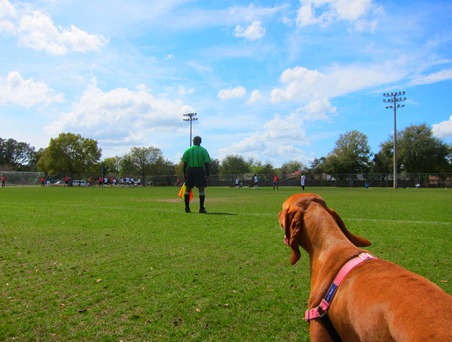 soccer 001