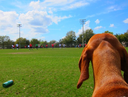 soccer 005