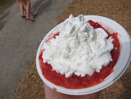 strawberry festival 016