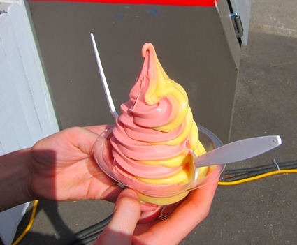 strawberry festival 038