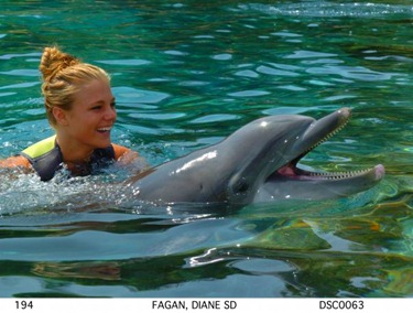 doplhin