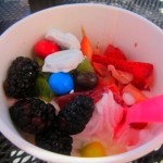 fro yo 006