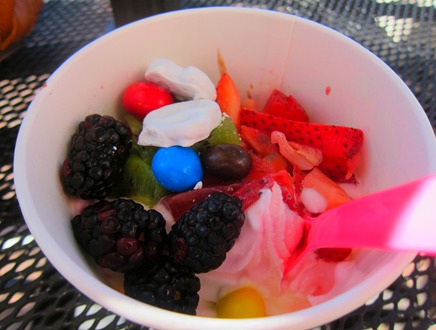 fro yo 006