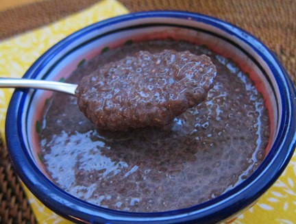 chia seed pudding 005