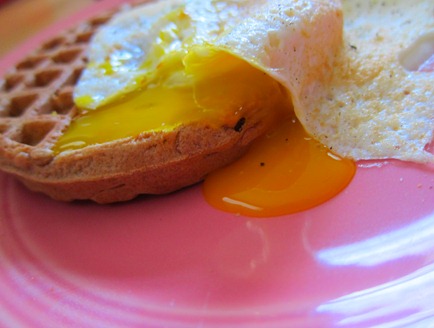 eggs and waffles 007