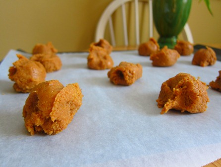 peanut butter energy bites 011