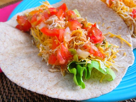 sadie orange collar 039