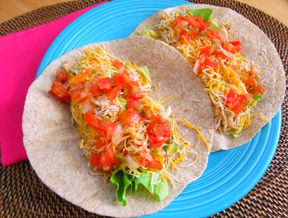 sadie orange collar 041