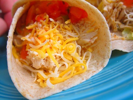 sadie orange collar 042