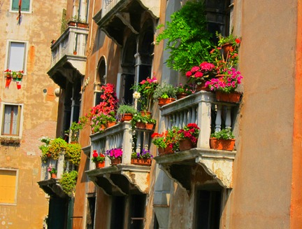 venice 110
