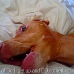 2011-01-09_07-38-35_578 2011-01-09_07-38-35_578