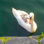 2011-06-16_07-34-19_482 2011-06-16_07-34-19_482