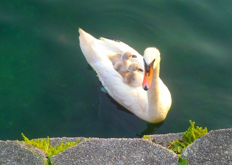2011-06-16_07-34-19_482