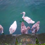 2011-06-29_07-14-39_243 2011-06-29_07-14-39_243