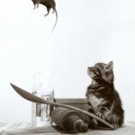 cat mouse