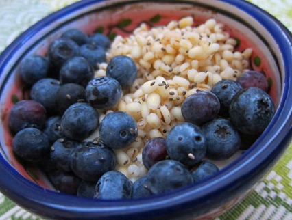 cottage cheese breakfast 011
