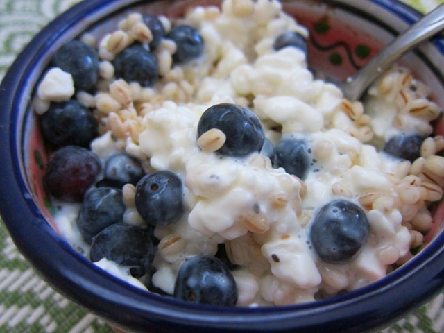 Cottage Cheese Breakfast 013 Jpg Peanut Butter Fingers
