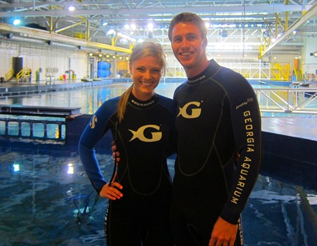 scuba diving with whale sharks georgia aquarium 020
