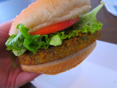 scuba diving with whale sharks georgia aquarium 023