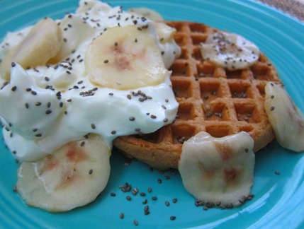 waffle with yogurt 040