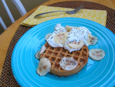 waffle with yogurt 043