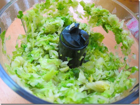 brussels spouts pasta 002