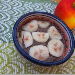 chocolate chia seed pudding 005