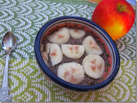 chocolate chia seed pudding 005