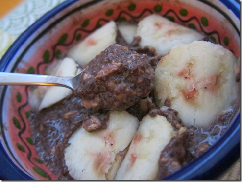 chocolate chia seed pudding 008