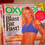 cinnamon chia seed granola 006