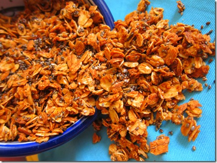 cinnamon chia seed granola 013