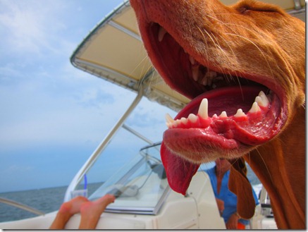 day on the boat 025