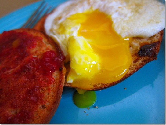 dippy eggs 018