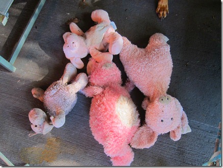 dog toys dirty 001