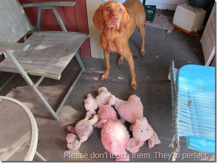 dog toys dirty 002
