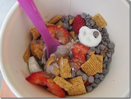 fro yo 002