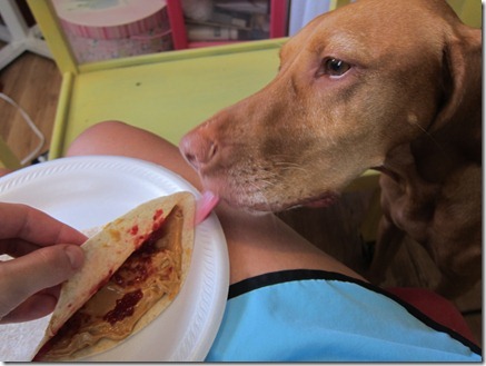 pb and j wrap 005