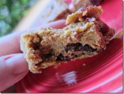 peanut butter protein bars